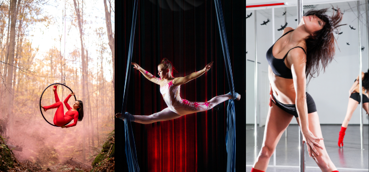 Pole Dancing and Aerial Arts